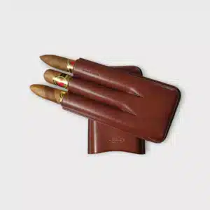 a group of cigars in a leather case