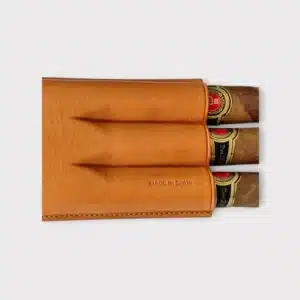 a cigars in a leather case